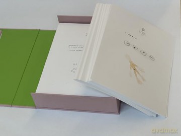 Marina Abramovic: Nomaid Journey and Spirit of Places: Collector's Box - Marina Abramovic [KSIĄŻKA]