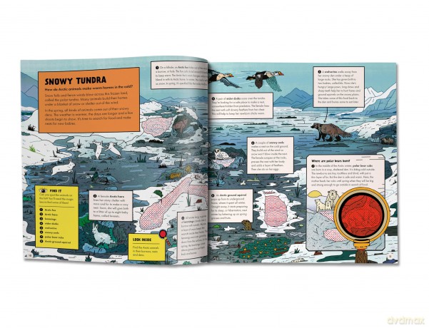 Marvellous Animal Homes: A Magic Lens Book - Jane Wilsher [KSIĄŻKA]