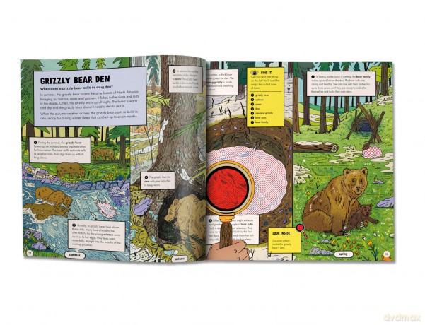 Marvellous Animal Homes: A Magic Lens Book - Jane Wilsher [KSIĄŻKA]