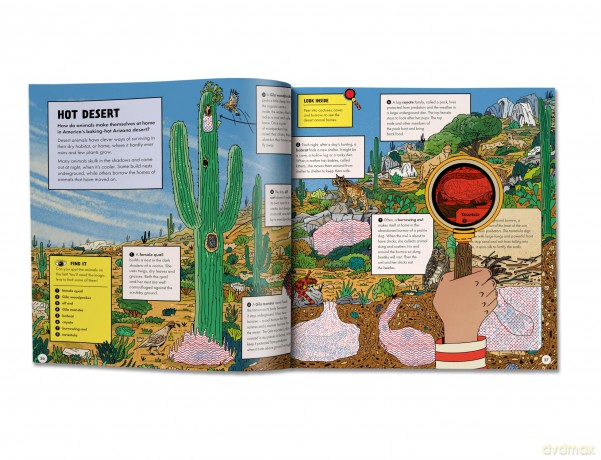 Marvellous Animal Homes: A Magic Lens Book - Jane Wilsher [KSIĄŻKA]