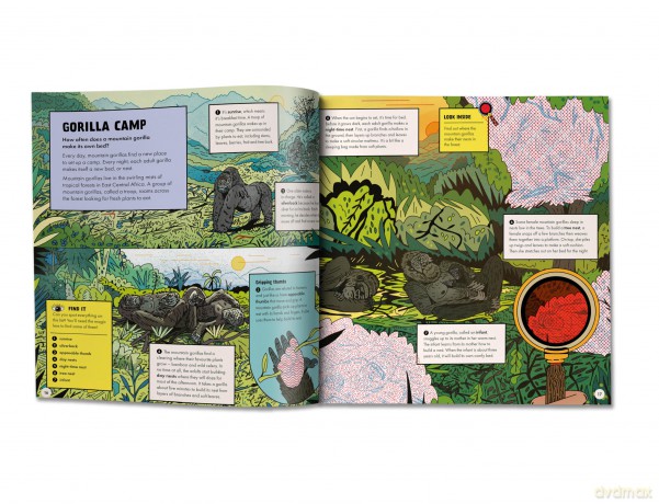 Marvellous Animal Homes: A Magic Lens Book - Jane Wilsher [KSIĄŻKA]
