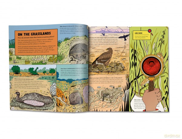 Marvellous Animal Homes: A Magic Lens Book - Jane Wilsher [KSIĄŻKA]