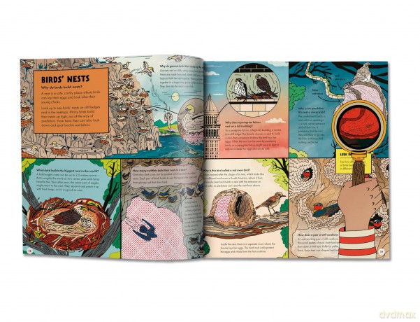 Marvellous Animal Homes: A Magic Lens Book - Jane Wilsher [KSIĄŻKA]