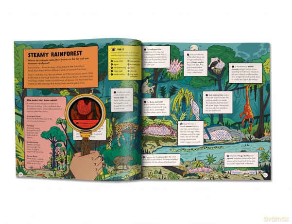 Marvellous Animal Homes: A Magic Lens Book - Jane Wilsher [KSIĄŻKA]