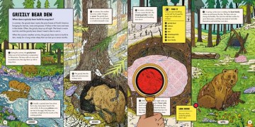 Marvellous Animal Homes: A Magic Lens Book - Jane Wilsher [KSIĄŻKA]