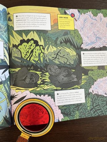 Marvellous Animal Homes: A Magic Lens Book - Jane Wilsher [KSIĄŻKA]