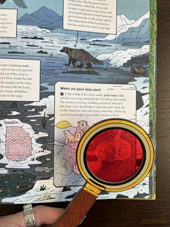 Marvellous Animal Homes: A Magic Lens Book - Jane Wilsher [KSIĄŻKA]