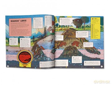 Marvellous Animal Homes: A Magic Lens Book - Jane Wilsher [KSIĄŻKA]