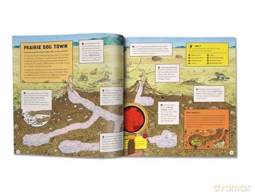 Marvellous Animal Homes: A Magic Lens Book - Jane Wilsher [KSIĄŻKA]