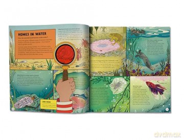 Marvellous Animal Homes: A Magic Lens Book - Jane Wilsher [KSIĄŻKA]