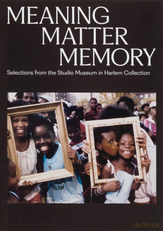 Meaning Matter Memory: Selections from the Studio Museum in Harlem Collection - Thelma Golden [KSIĄŻKA]