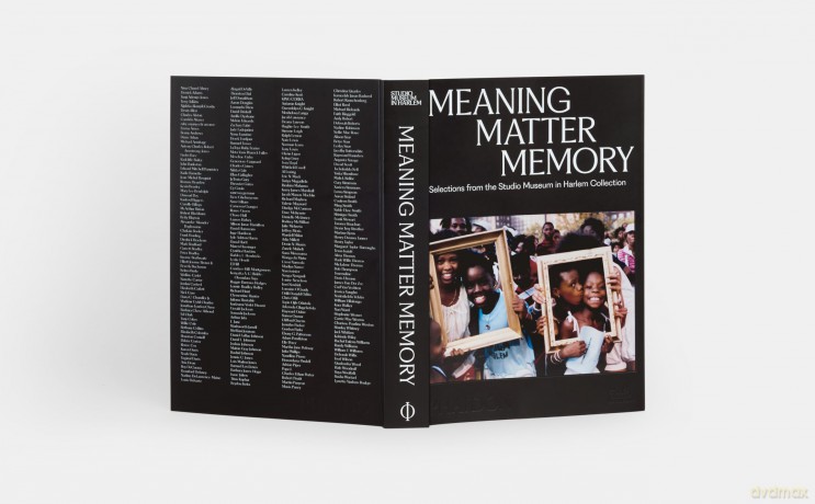 Meaning Matter Memory: Selections from the Studio Museum in Harlem Collection - Thelma Golden [KSIĄŻKA]