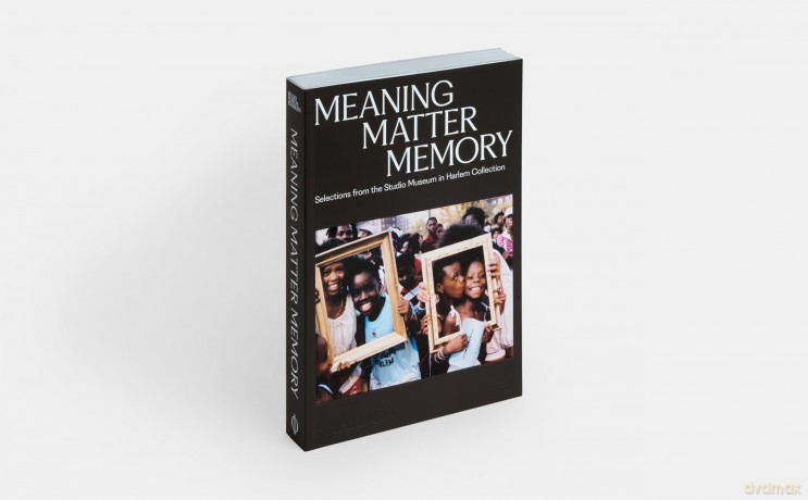 Meaning Matter Memory: Selections from the Studio Museum in Harlem Collection - Thelma Golden [KSIĄŻKA]