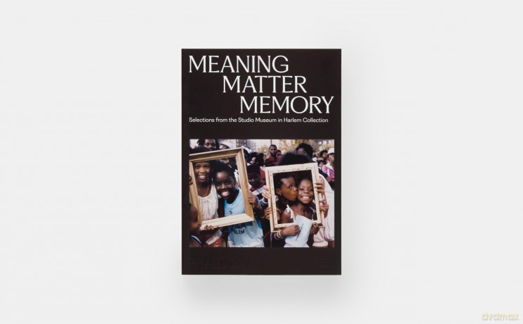 Meaning Matter Memory: Selections from the Studio Museum in Harlem Collection - Thelma Golden [KSIĄŻKA]