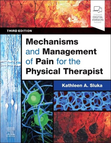 Mechanisms and Management of Pain for the Physical Therapist - Kathleen A. Sluka PT PhD FAPTA [KSIĄŻKA]