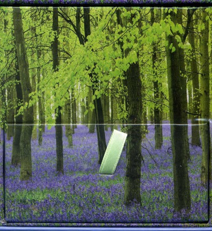 Memo Block - Bluebells: High-quality block of notepapers in a presentation cube box with built-in drawer - n/a [KSIĄŻKA]