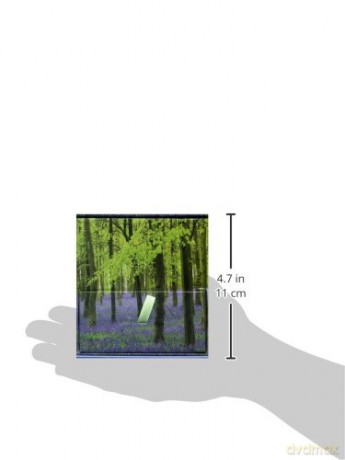 Memo Block - Bluebells: High-quality block of notepapers in a presentation cube box with built-in drawer - n/a [KSIĄŻKA]