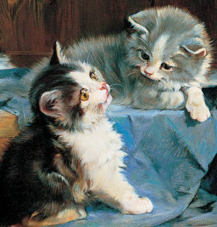 Memo Block: Kittens: High-quality block of notepapers in a presentation cube box with built-in drawer - Peony Press [KSIĄŻKA]