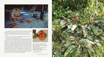 Microcosms: Sacred Plants of the Americas - Jill Pflugheber [KSIĄŻKA]