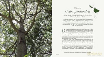 Microcosms: Sacred Plants of the Americas - Jill Pflugheber [KSIĄŻKA]