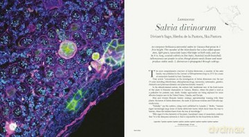 Microcosms: Sacred Plants of the Americas - Jill Pflugheber [KSIĄŻKA]