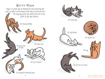 Mindful Meowments: A cat's guide to feeling purrfectly zen - Rus Hudda [KSIĄŻKA]