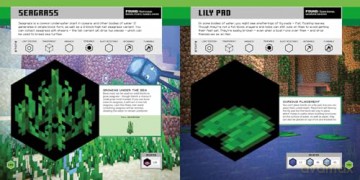 Minecraft Official Blocks Guide: Minecraft Official Blocks Guide: the definitive compendium to every block in Minecraft - the perfect gift for gamers of all ages! - Mojang AB [KSIĄŻKA]