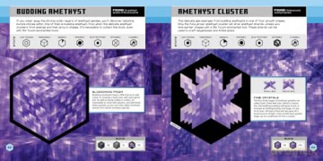 Minecraft Official Blocks Guide: Minecraft Official Blocks Guide: the definitive compendium to every block in Minecraft - the perfect gift for gamers of all ages! - Mojang AB [KSIĄŻKA]