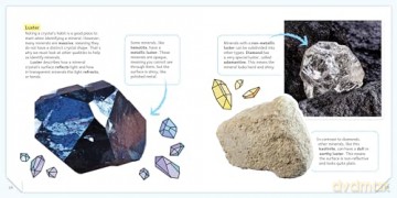 Minerals and Rocks: A Beginner's Guide - Kim Tait [KSIĄŻKA]