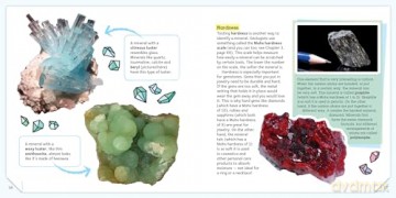 Minerals and Rocks: A Beginner's Guide - Kim Tait [KSIĄŻKA]