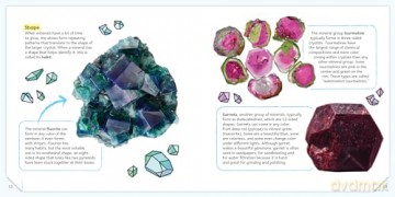 Minerals and Rocks: A Beginner's Guide - Kim Tait [KSIĄŻKA]