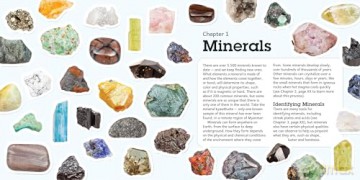 Minerals and Rocks: A Beginner's Guide - Kim Tait [KSIĄŻKA]