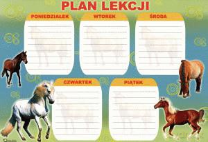 Naklejki Plan Lekcji A4
