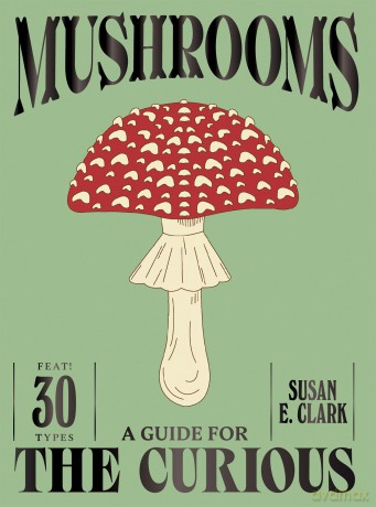 Mushrooms: A Guide for the Curious - Susan E. Clark [KSIĄŻKA]
