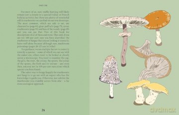 Mushrooms: A Guide for the Curious - Susan E. Clark [KSIĄŻKA]