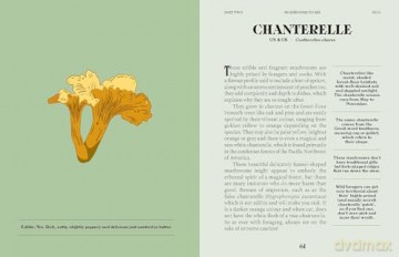 Mushrooms: A Guide for the Curious - Susan E. Clark [KSIĄŻKA]