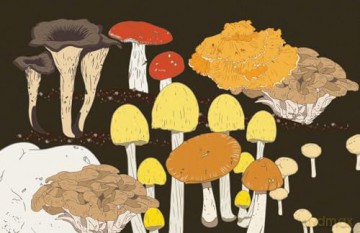 Mushrooms: A Guide for the Curious - Susan E. Clark [KSIĄŻKA]
