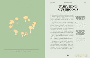 Mushrooms: A Guide for the Curious - Susan E. Clark [KSIĄŻKA]