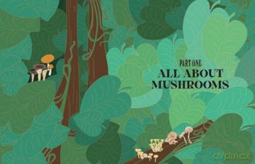 Mushrooms: A Guide for the Curious - Susan E. Clark [KSIĄŻKA]