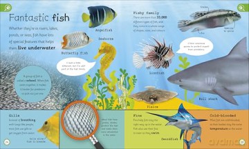My Encyclopedia of Very Important Animals: For Little Animal Lovers Who Want to Know Everything - DK [KSIĄŻKA]