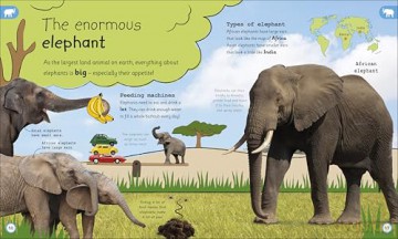 My Encyclopedia of Very Important Animals: For Little Animal Lovers Who Want to Know Everything - DK [KSIĄŻKA]
