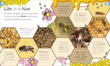 My Encyclopedia of Very Important Animals: For Little Animal Lovers Who Want to Know Everything - DK [KSIĄŻKA]