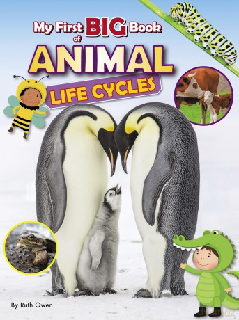 My First BIG Book of Animal Life Cycles: 4 - Ruth Owen [KSIĄŻKA]
