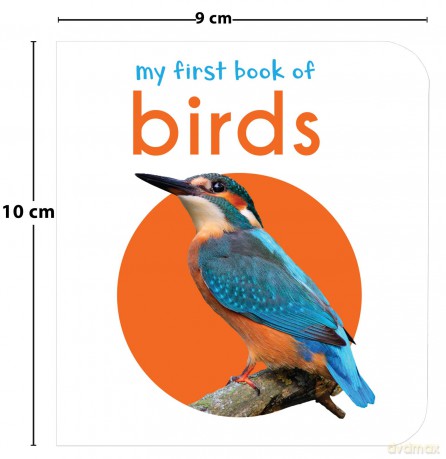 My First Book Of Birds: First Board Book - Wonder House Books Editorial [KSIĄŻKA]