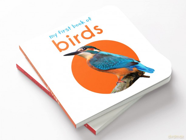 My First Book Of Birds: First Board Book - Wonder House Books Editorial [KSIĄŻKA]