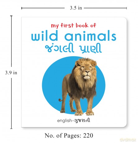 My First Englishgujarati Learning Library - WONDER BOOKS [KSIĄŻKA]