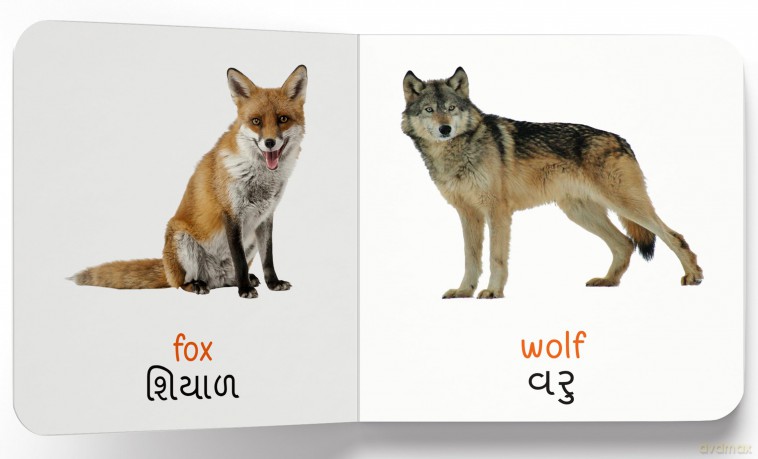 My First Englishgujarati Learning Library - WONDER BOOKS [KSIĄŻKA]