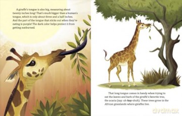 My Little Golden Book About Giraffes - Bonnie Bader [KSIĄŻKA]