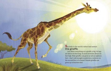 My Little Golden Book About Giraffes - Bonnie Bader [KSIĄŻKA]