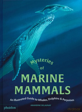 Mysteries of Marine Mammals: An Illustrated Guide to Whales, Dolphins, and Porpoises - Amandine Delaunay [KSIĄŻKA]